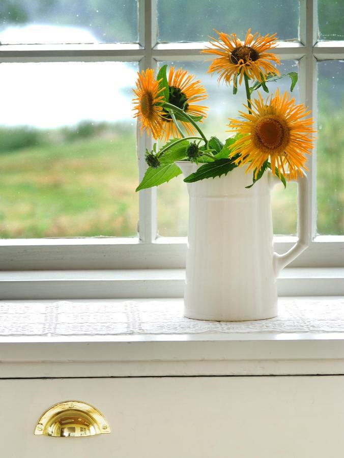 Rundhaug Gjestegard Ngoại thất bức ảnh
