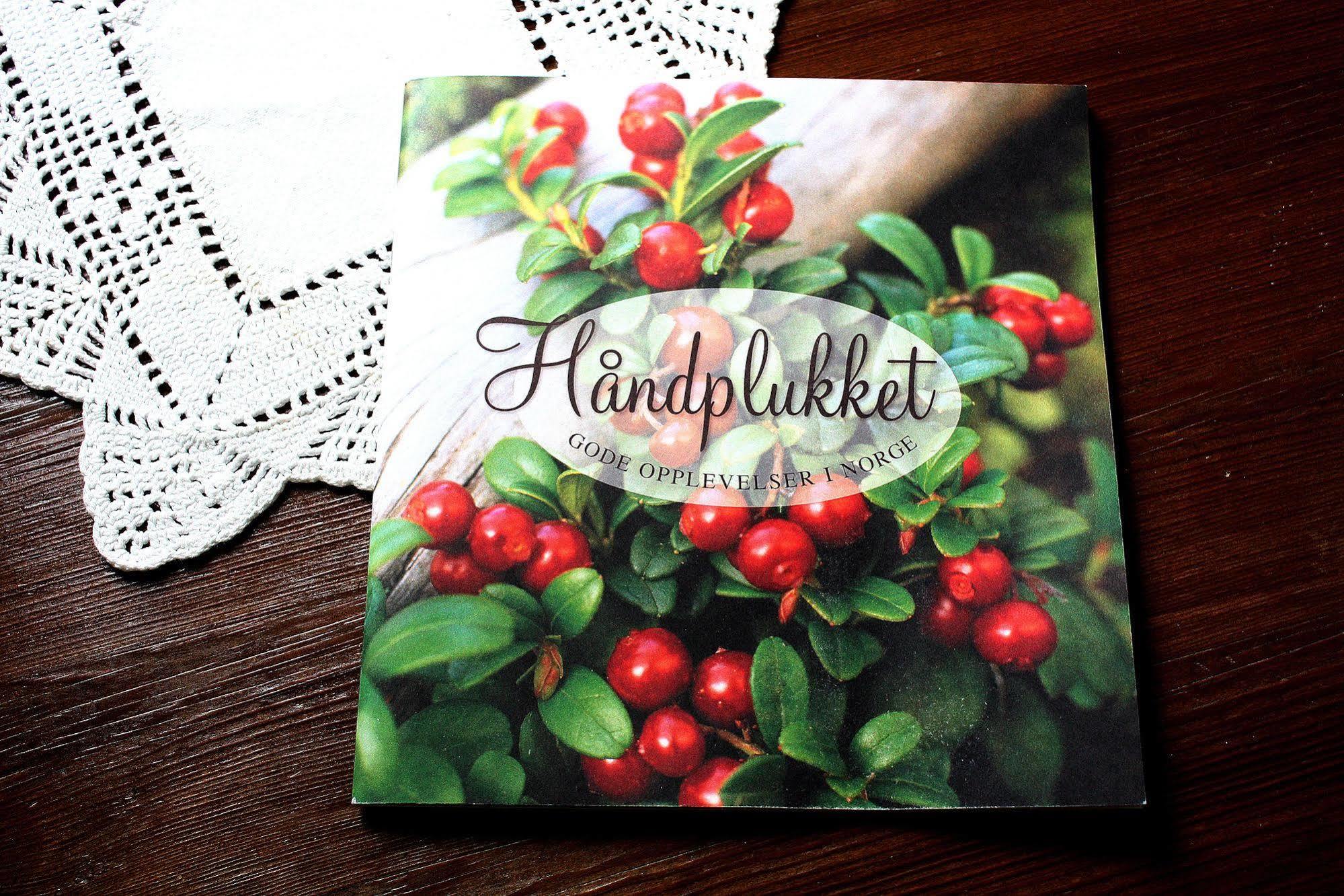 Rundhaug Gjestegard Ngoại thất bức ảnh